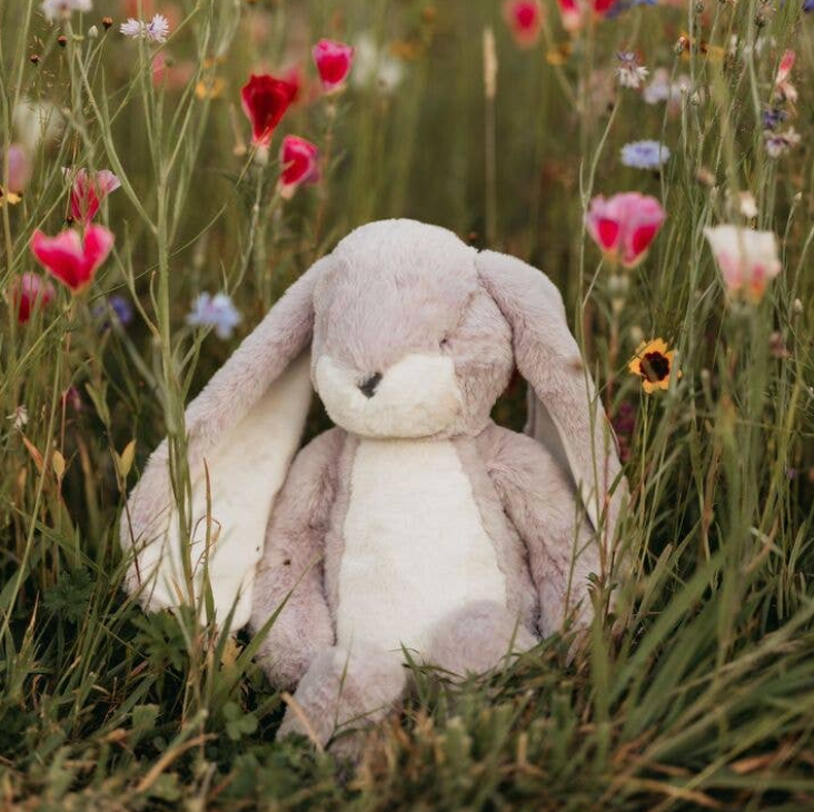 Kid's Toys & Stuffed Animals