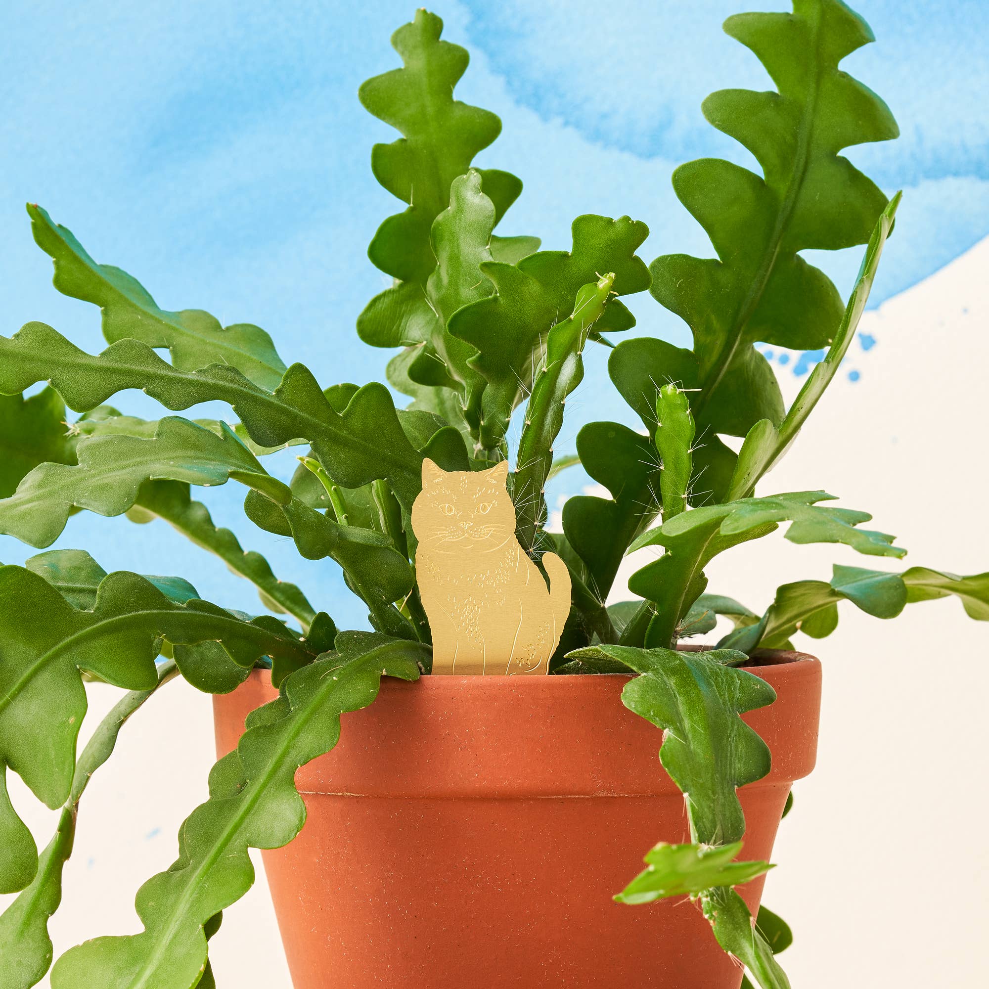 Plant Animal - Cat Houseplant Decoration
