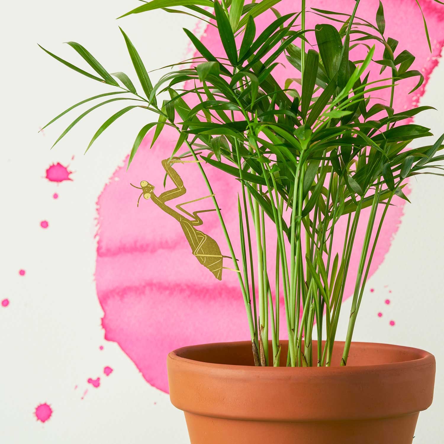 Plant Animal Houseplant Decoration - Praying Mantis